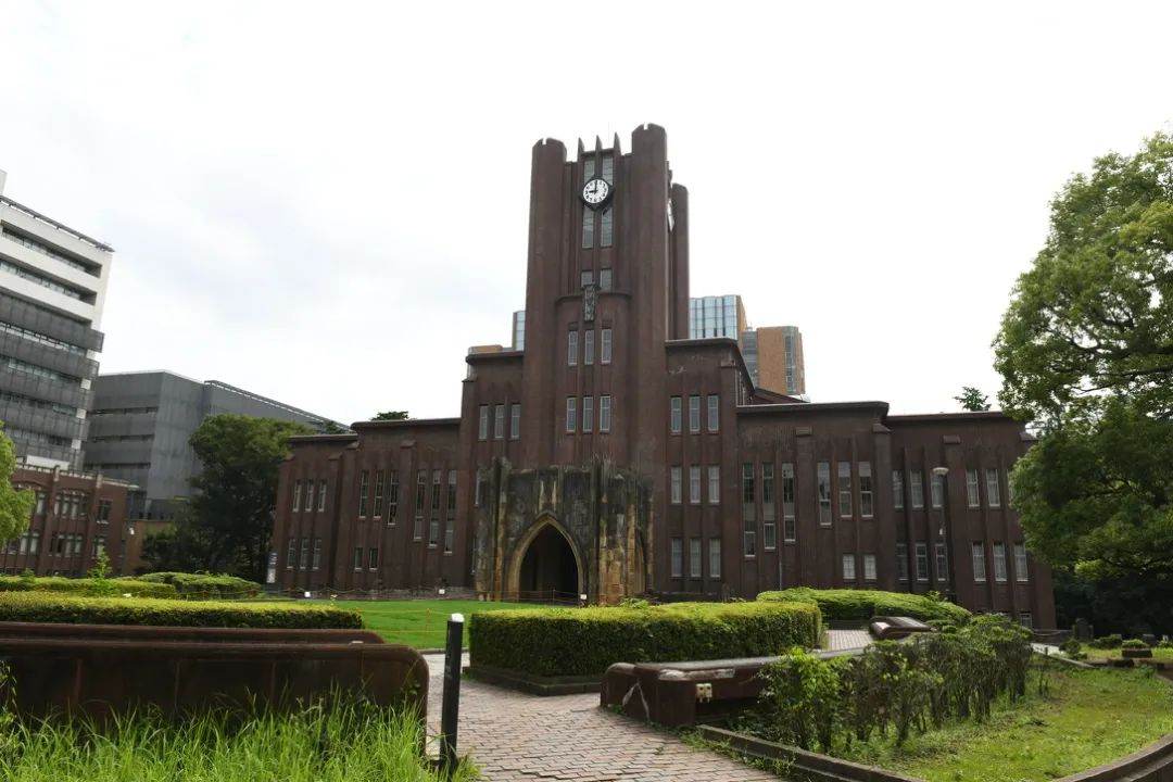 685.jpg