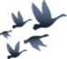 640 (24).png
